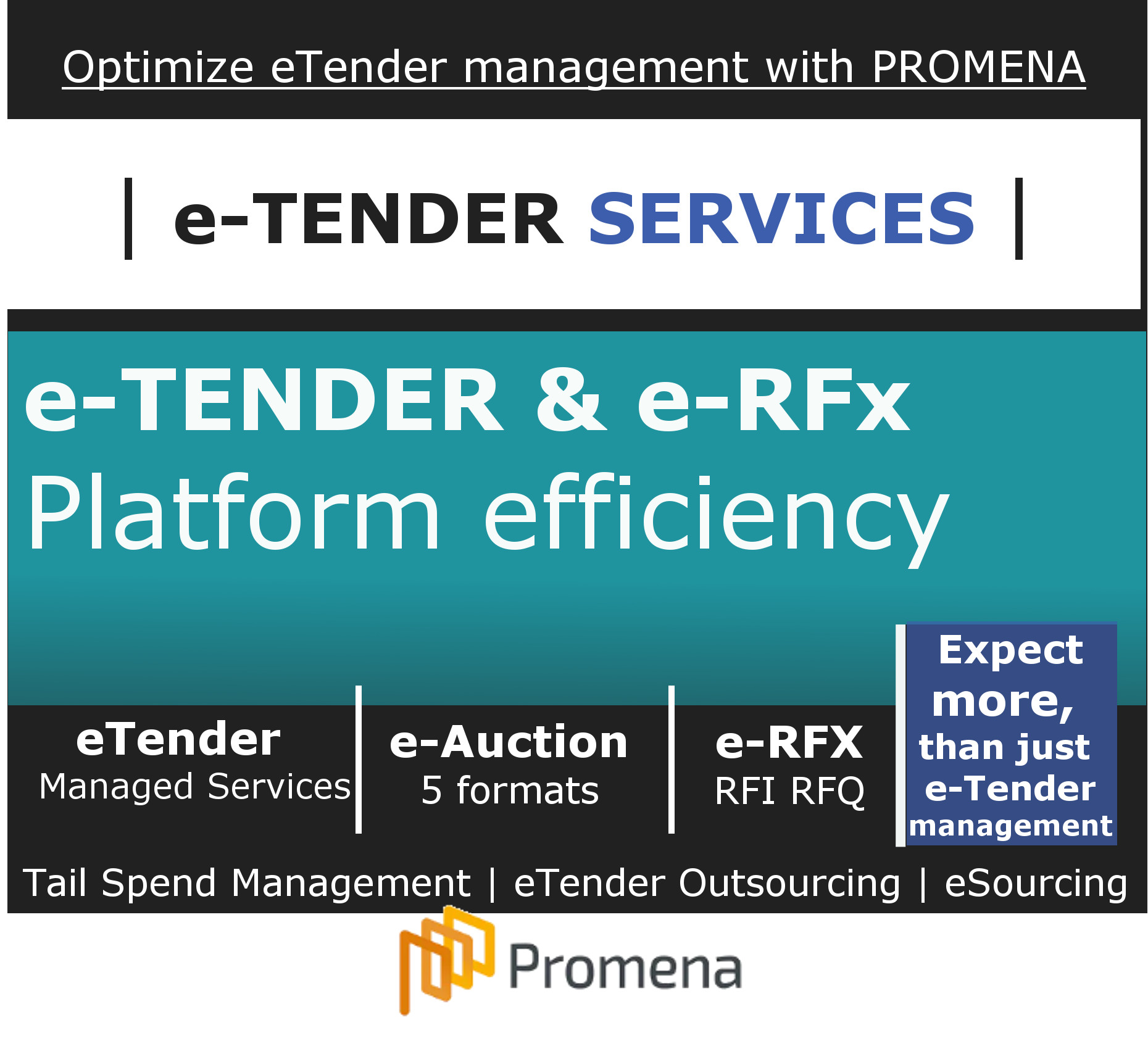 Promena e-Tender Platform,  eTendering and Procurement Outsourced Services picture