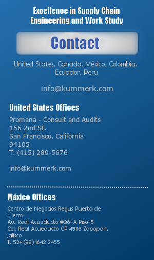e-Sourcing Promena USA and Work Study Consulting - AviX contact